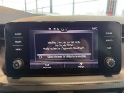 										SKODA Kamiq 1.0 TSI Evo 110 ch BVM6 Ambition full									