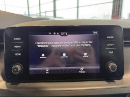 										SKODA Kamiq 1.0 TSI Evo 110 ch BVM6 Ambition full									