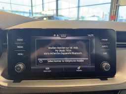 										SKODA Kamiq 1.0 TSI Evo 110 ch BVM6 Ambition full									