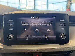 										SKODA Kamiq 1.0 TSI Evo 110 ch BVM6 Ambition full									