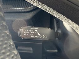 										SKODA Fabia 1.0 TSI 116 ch EVO 2 DSG7 Monte-Carlo full									