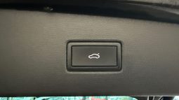 										VOLKSWAGEN Tiguan 2.0 TDI 150ch DSG7 R-Line full									