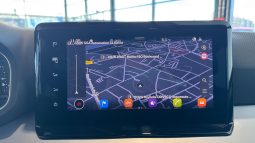 										SEAT Ibiza 1.0 EcoTSI 110 ch S/S BVM6 FR full									