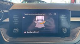 										SKODA Fabia 1.0 TSI 95 ch BVM5 Ambition full									