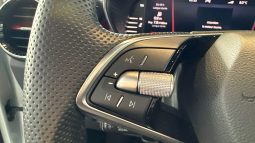 										SKODA Fabia 1.5 TSI 150 ch DSG7 Monte-Carlo full									