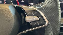 										SKODA Fabia 1.5 TSI 150 ch DSG7 Monte-Carlo full									