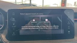 										SKODA Kamiq 1.0 TSI Evo 2 116 ch DSG7 Monte Carlo full									