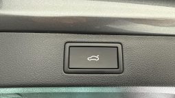 										SKODA Kamiq 1.0 TSI Evo 2 116 ch DSG7 Monte Carlo full									