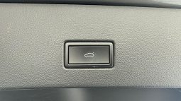 										VOLKSWAGEN T-Roc 2.0 TDI 150 Start/Stop DSG7 4Motion First Edition full									