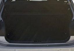 										VOLKSWAGEN Polo 1.0 TSI 116 S&S DSG7 R-Line Edition full									