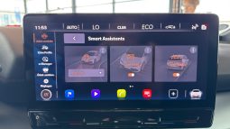 										CUPRA Born 204 ch – Batterie L V full									