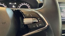 										SKODA Fabia 1.0 TSI 95 ch BVM5 Ambition full									