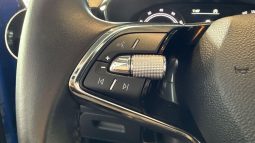 										SKODA Fabia 1.0 TSI 95 ch BVM5 Ambition full									