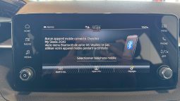 										SKODA Fabia 1.0 TSI 95 ch EVO 2 BVM5 Selection full									