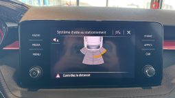 										SKODA Fabia 1.0 TSI 95 ch BVM5 Monte-Carlo full									