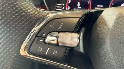 										SKODA Fabia 1.0 TSI 95 ch BVM5 Monte-Carlo full									