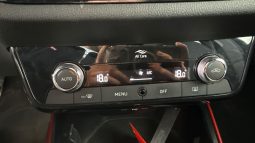 										SKODA Fabia 1.0 TSI 95 ch BVM5 Monte-Carlo full									