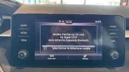 										SKODA Fabia 1.0 TSI 110 ch DSG7 Ambition full									