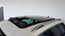										VOLKSWAGEN Tiguan 2.0 TDI 150ch DSG7 R-Line full									
