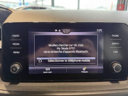 										SKODA Fabia 1.0 TSI 95 ch BVM5 Ambition full									
