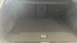 										VOLKSWAGEN T-Roc 1.5 eTSI EVO2 Hybrid 116 ch DSG7 Life full									