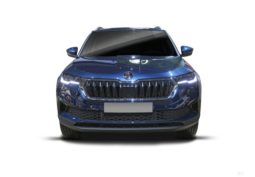 										SKODA Karoq 1.0 TSI Evo 2 116 ch Selection full									