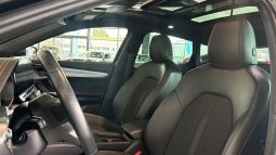 										CUPRA Formentor 2.0 TDI 150 ch VZ-Line full									