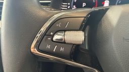 										SKODA Kamiq 1.5 TSI 150 ch DSG7 Style full									