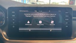 										SKODA Kamiq 1.5 TSI 150 ch DSG7 Style full									