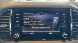 										SKODA Karoq 1.5 TSI 150 ch ACT DSG7 Ambition full									