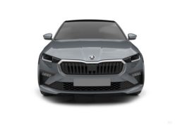 										SKODA Scala 1.0 TSI Evo 2 116 ch DSG7 Monte-Carlo full									