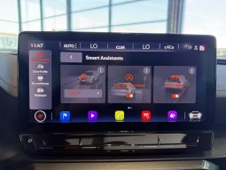 										CUPRA Formentor 1.5 TSI 150 ch DSG7 Business Edition full									