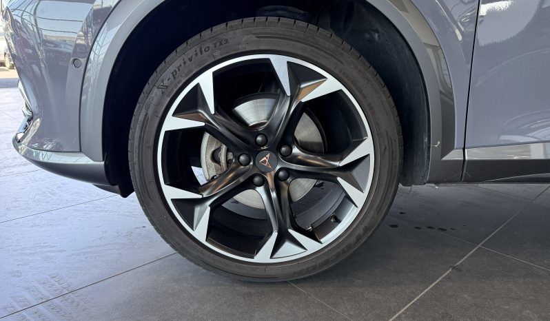 								CUPRA Formentor 1.5 TSI 150 ch DSG7 Business Edition full									