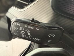 										SKODA Kamiq 1.0 TSI Evo 110 ch DSG7 Monte-Carlo full									