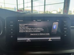 										SKODA Kamiq 1.0 TSI Evo 110 ch DSG7 Monte-Carlo full									