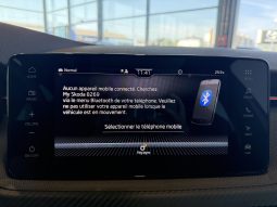 										SKODA Kamiq 1.5 TSI Evo 2 150 ch DSG7 ACT Monte Carlo full									