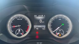 										SKODA Karoq 1.6 TDI 116 ch DSG7 Ambition full									