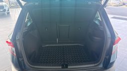 										SKODA Karoq 1.6 TDI 116 ch DSG7 Ambition full									