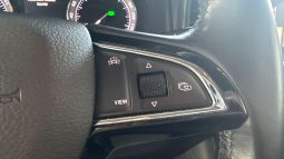 										SKODA Karoq 1.6 TDI 116 ch DSG7 Ambition full									