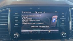 										SKODA Karoq 1.0 TSI 110 ch Ambition full									