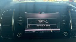 										SKODA Karoq 1.6 TDI 116 ch DSG7 Ambition full									