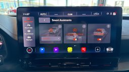 										CUPRA Formentor 1.5 TSI 150 ch Business Edition full									