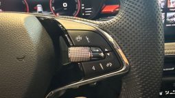 										SKODA Fabia 1.0 TSI 95 ch BVM5 Monte-Carlo full									