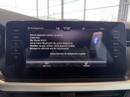 										SKODA Kamiq 1.0 TSI Evo 110 ch BVM6 Business full									