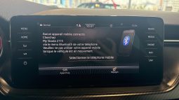										SKODA Kamiq 1.0 TSI Evo 110 ch DSG7 Monte-Carlo full									