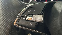 										SKODA Kamiq 1.0 TSI Evo 110 ch DSG7 Monte-Carlo full									