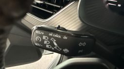 										SKODA Kamiq 1.0 TSI Evo 110 ch DSG7 Monte-Carlo full									