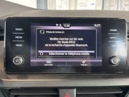 										SKODA Kamiq 1.0 TSI Evo 110 ch BVM6 Ambition full									