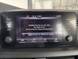 										SKODA Kamiq 1.0 TSI Evo 110 ch BVM6 Ambition full									