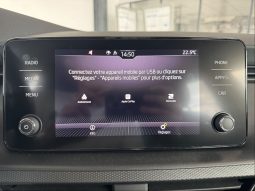 										SKODA Kamiq 1.0 TSI Evo 110 ch BVM6 Ambition full									